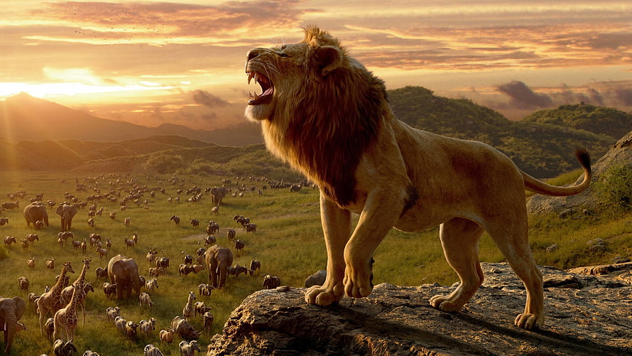 Mufasa Roaring on Pride Rock at Sunset in The Lion King HD wallpaper
