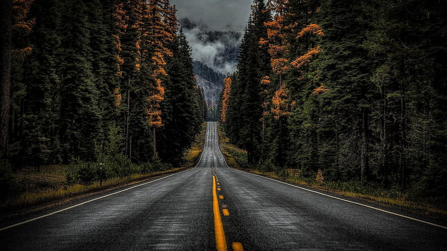 Moody Forest Highway Stretching Toward Misty Mountain Peaks HD wallpaper