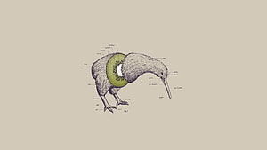 Kiwi Bird and Fruit Anatomy Illustration with Labeled Diagram on Beige Background HD wallpaper