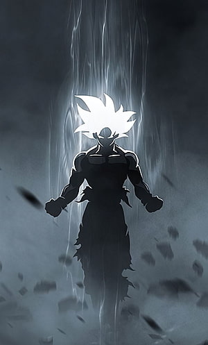 Goku Silhouette with Glowing White Hair in Dark Stormy Atmosphere HD phone wallpaper