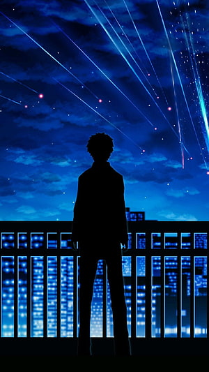 Your Name Anime Silhouette Watching Meteor Shower Over City Skyline at Night HD phone wallpaper