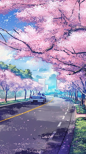 Anime Style Cherry Blossom Road with Car Driving Through Spring Petals HD phone wallpaper