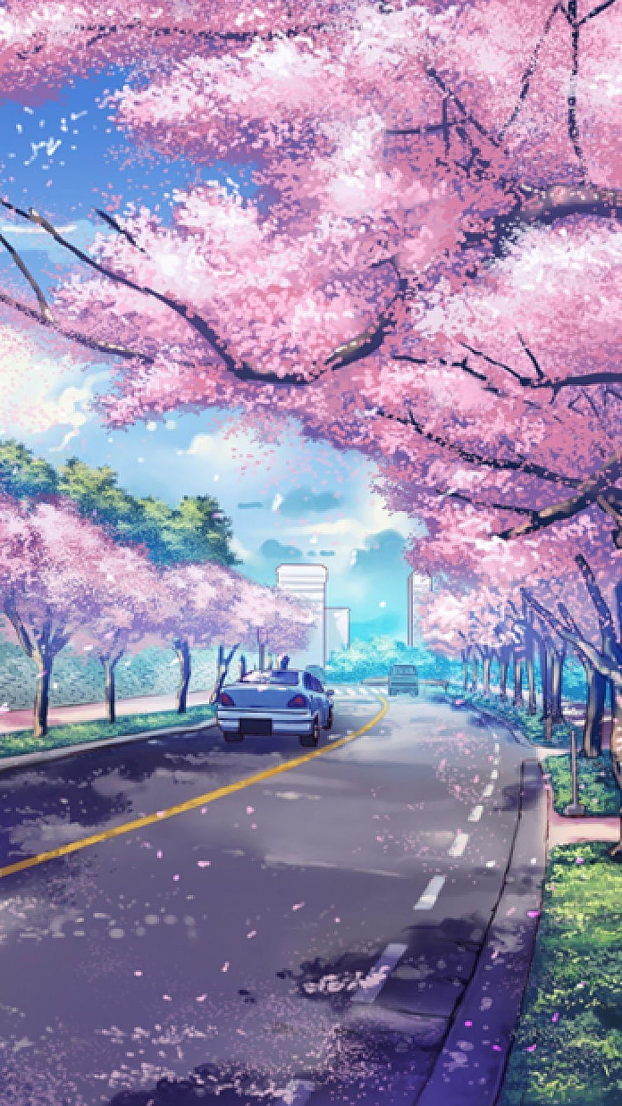 Anime Style Cherry Blossom Road with Car Driving Through Spring Petals HD phone wallpaper