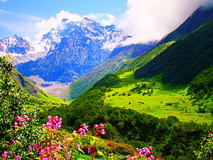 Valley of Flowers National Park in Uttarakhand with Himalayan peaks and wildflowers HD wallpaper