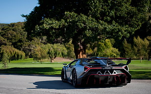 Lamborghini Veneno Rear View on Scenic Road with Lush Green Trees and Clear Blue Sky HD wallpaper